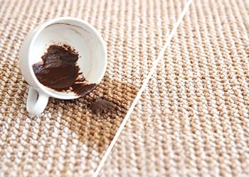 carpet stain removal stafford tx