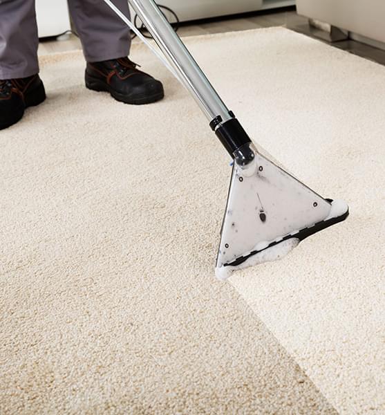 steam cleaning carpets stafford tx